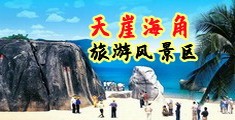 大鸡巴艹小骚逼海南三亚-天崖海角旅游风景区